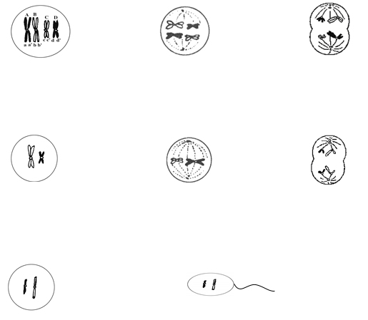 香港和宝典宝典资料大全