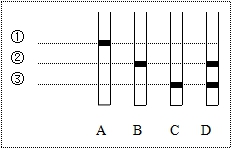 香港和宝典宝典资料大全