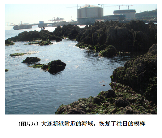 香港和宝典宝典资料大全