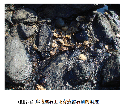 香港和宝典宝典资料大全