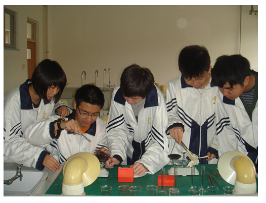 香港和宝典宝典资料大全