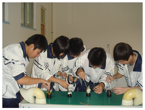 香港和宝典宝典资料大全