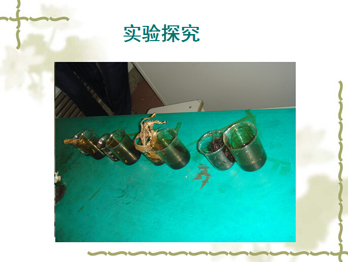 香港和宝典宝典资料大全