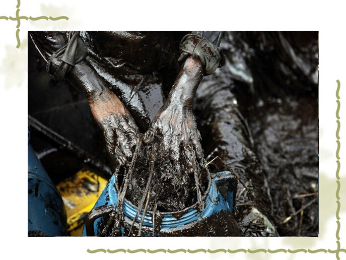 香港和宝典宝典资料大全