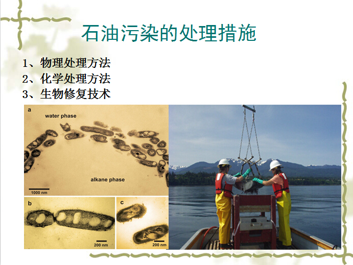 香港和宝典宝典资料大全