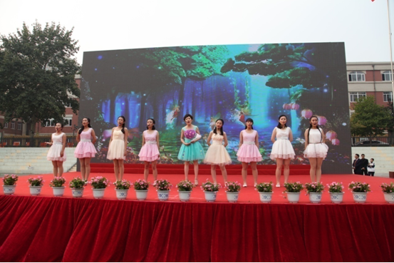 香港和宝典宝典资料大全