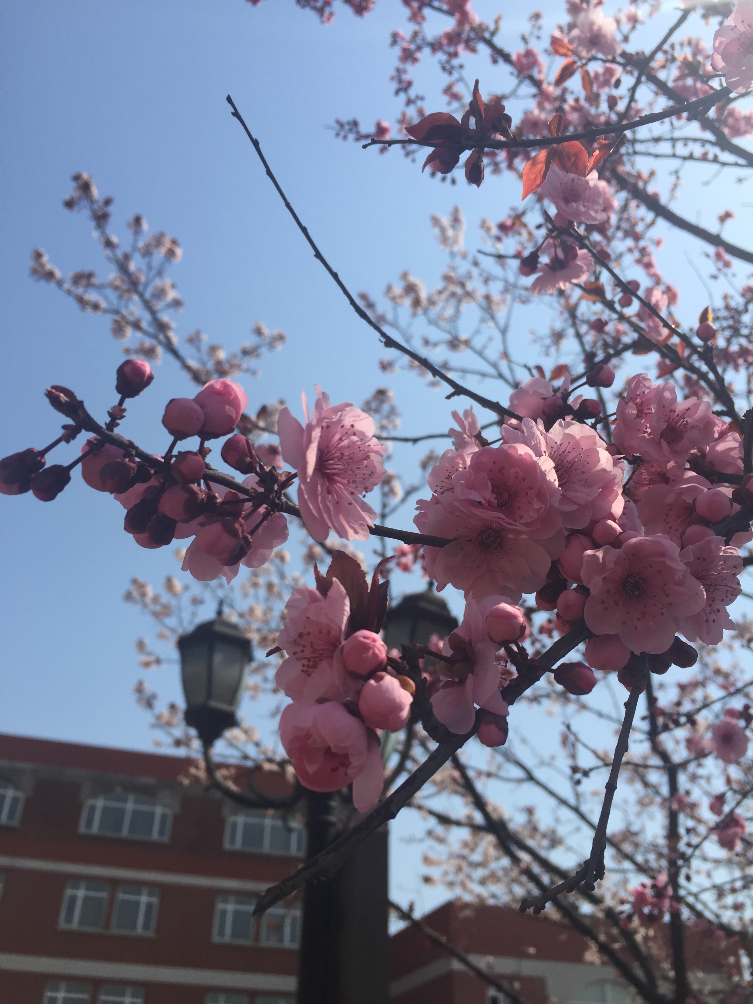 香港和宝典宝典资料大全