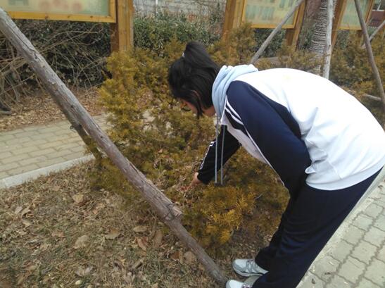 香港和宝典宝典资料大全