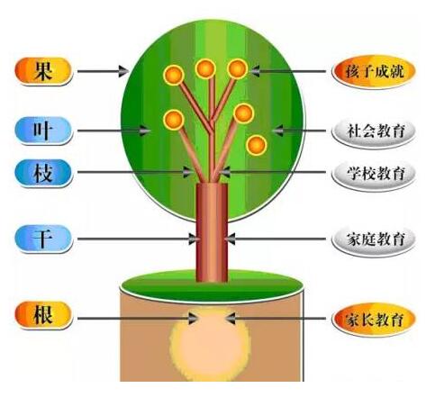 香港和宝典宝典资料大全