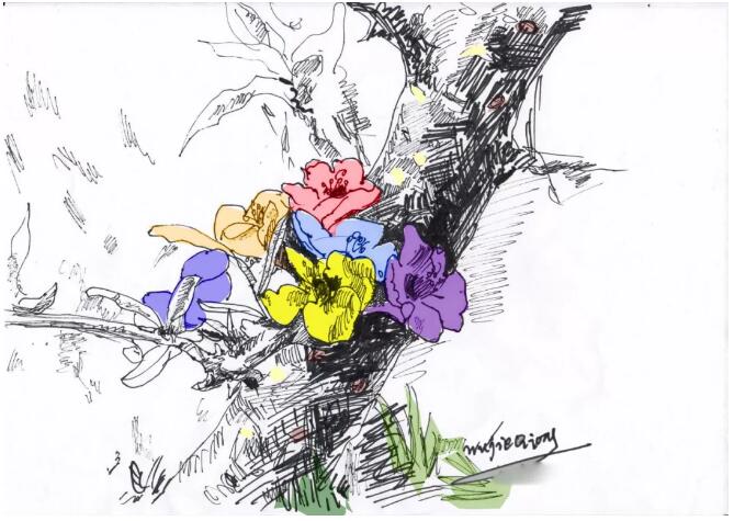 香港和宝典宝典资料大全