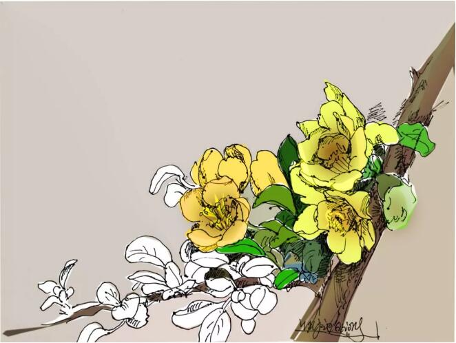 香港和宝典宝典资料大全