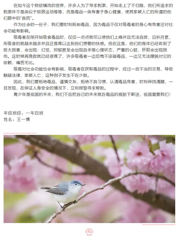 香港和宝典宝典资料大全