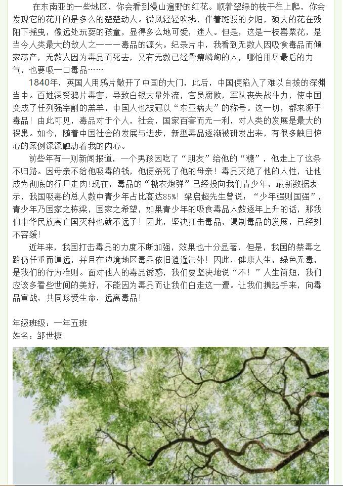 香港和宝典宝典资料大全