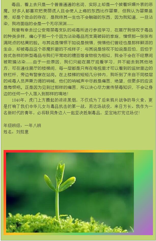 香港和宝典宝典资料大全