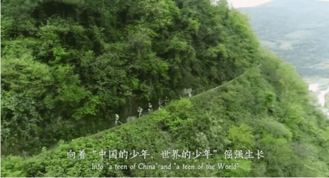 香港和宝典宝典资料大全