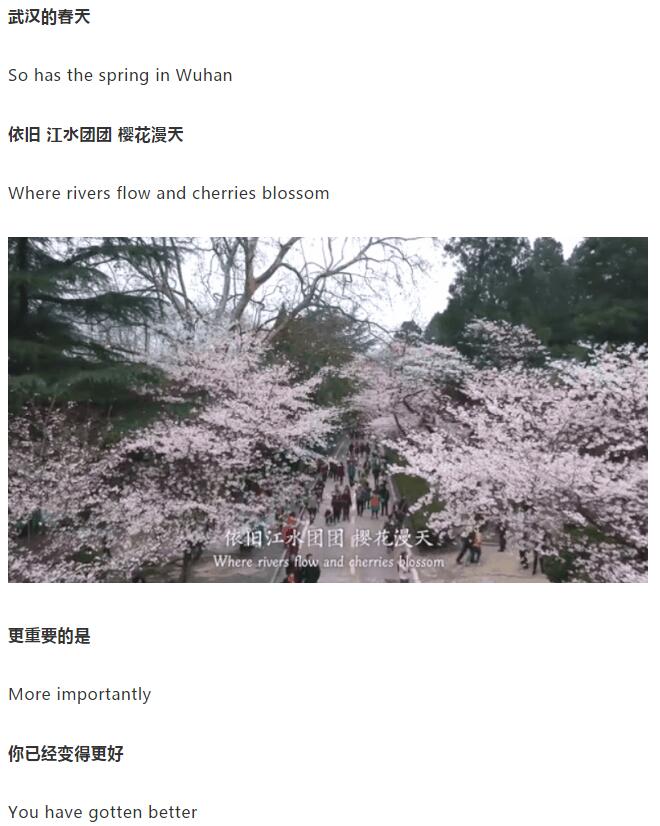 香港和宝典宝典资料大全