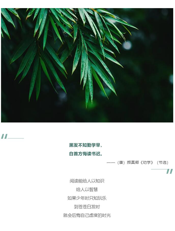 香港和宝典宝典资料大全