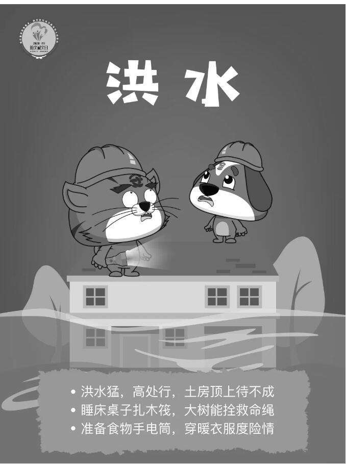 香港和宝典宝典资料大全