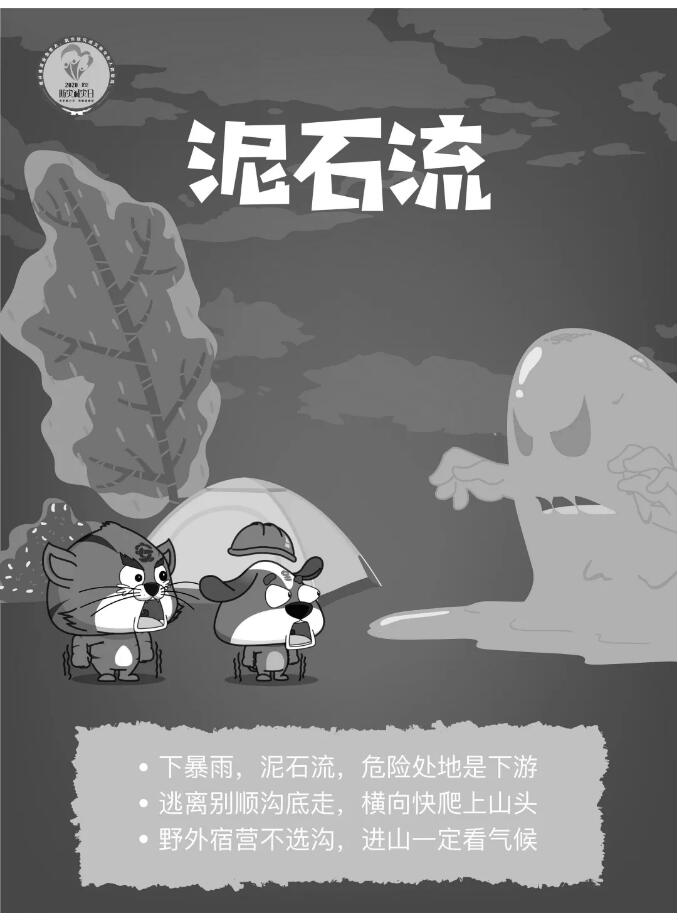 香港和宝典宝典资料大全