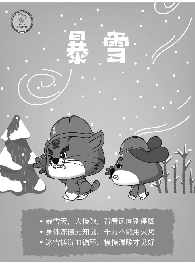 香港和宝典宝典资料大全