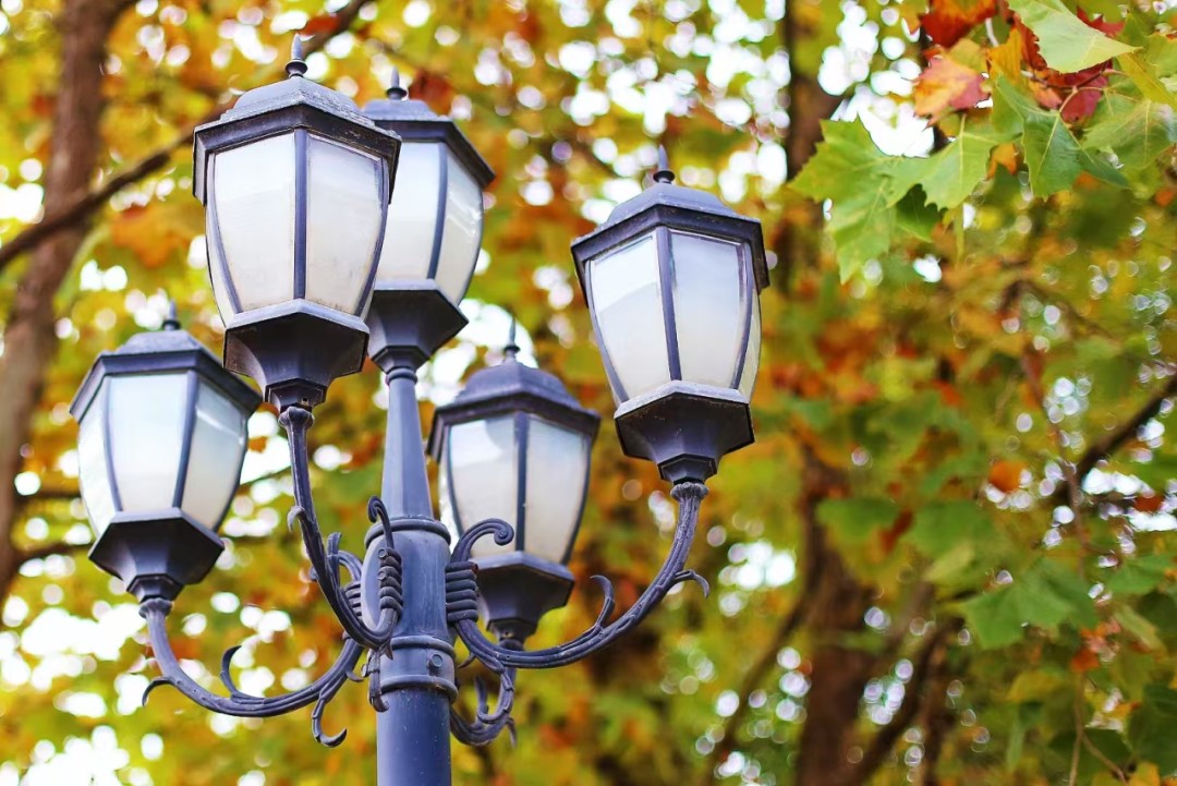 香港和宝典宝典资料大全