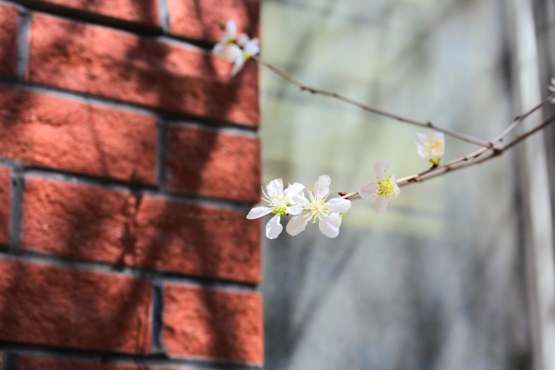 香港和宝典宝典资料大全