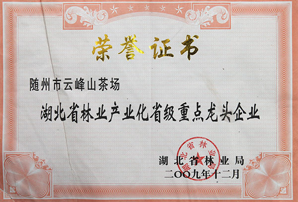 dd.jpg