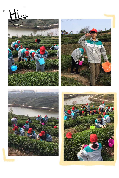 微信图片_20191109135122.jpg 微信图片_20191109135122.jpg