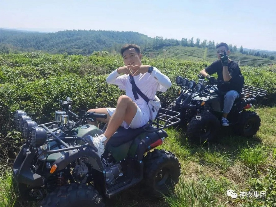 茶园山地车