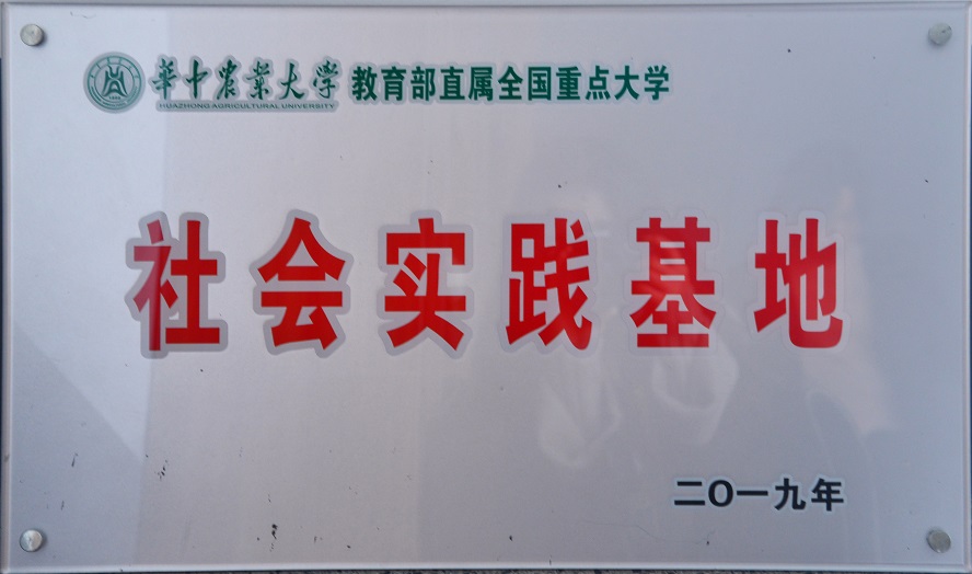 社会实践基地