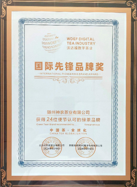 国际先锋品牌奖1.jpg
