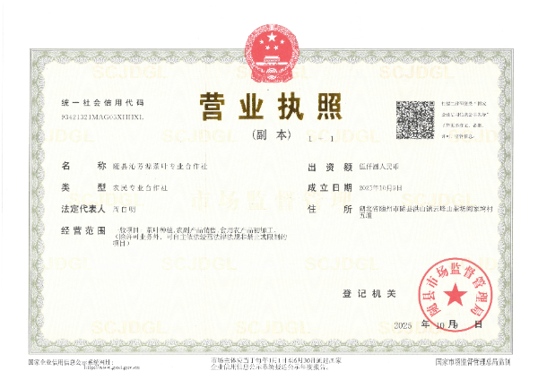 随县沁芳源茶业专业合作社.jpg