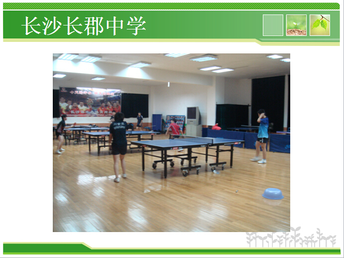 香港和宝典宝典资料大全