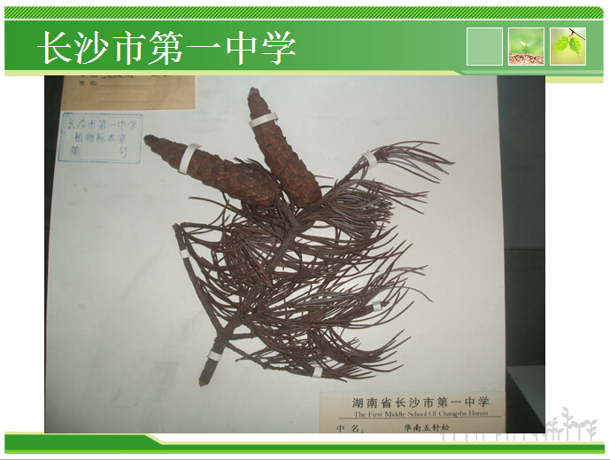 香港和宝典宝典资料大全