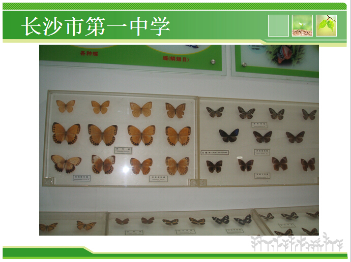 香港和宝典宝典资料大全