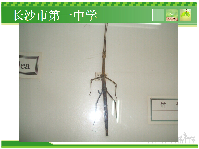 香港和宝典宝典资料大全