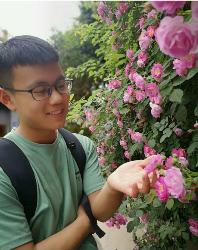 香港和宝典宝典资料大全