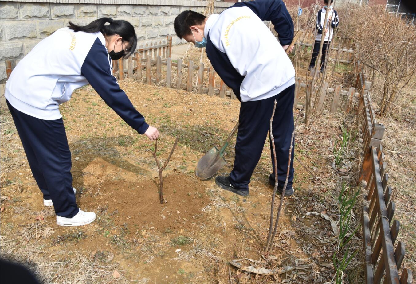 香港和宝典宝典资料大全