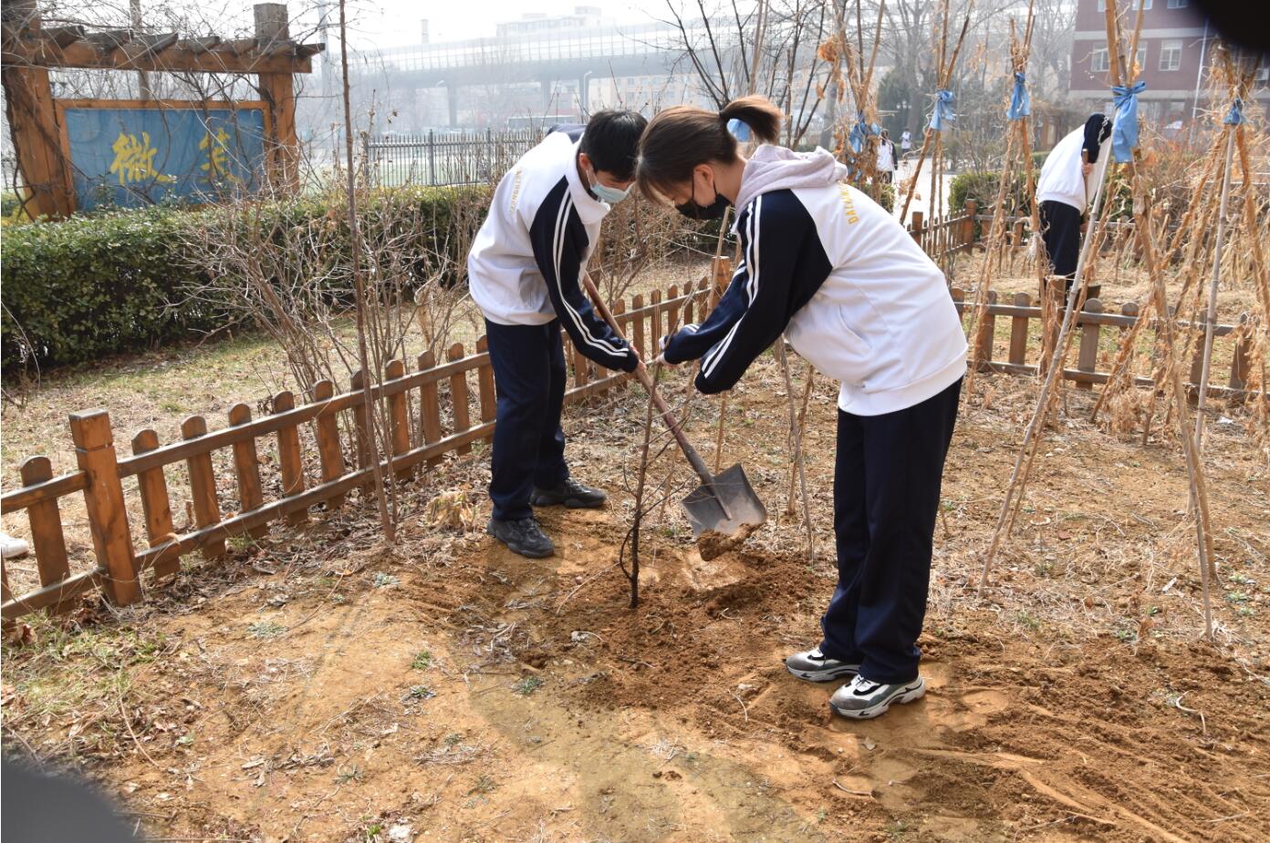 香港和宝典宝典资料大全