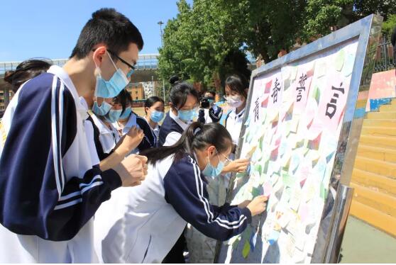 香港和宝典宝典资料大全