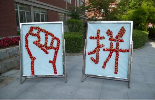 香港和宝典宝典资料大全